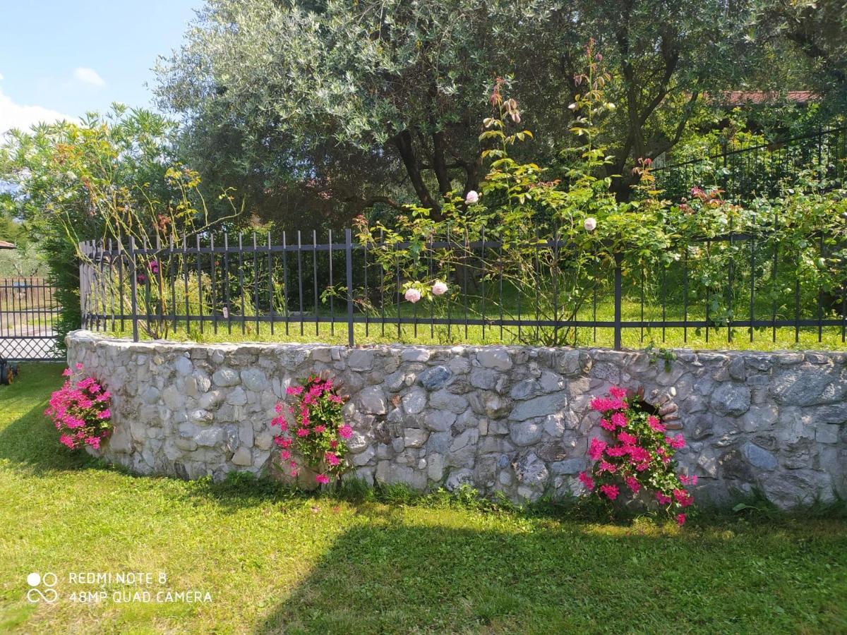 Mary Rose Apartments Oliveto Lario Exterior photo